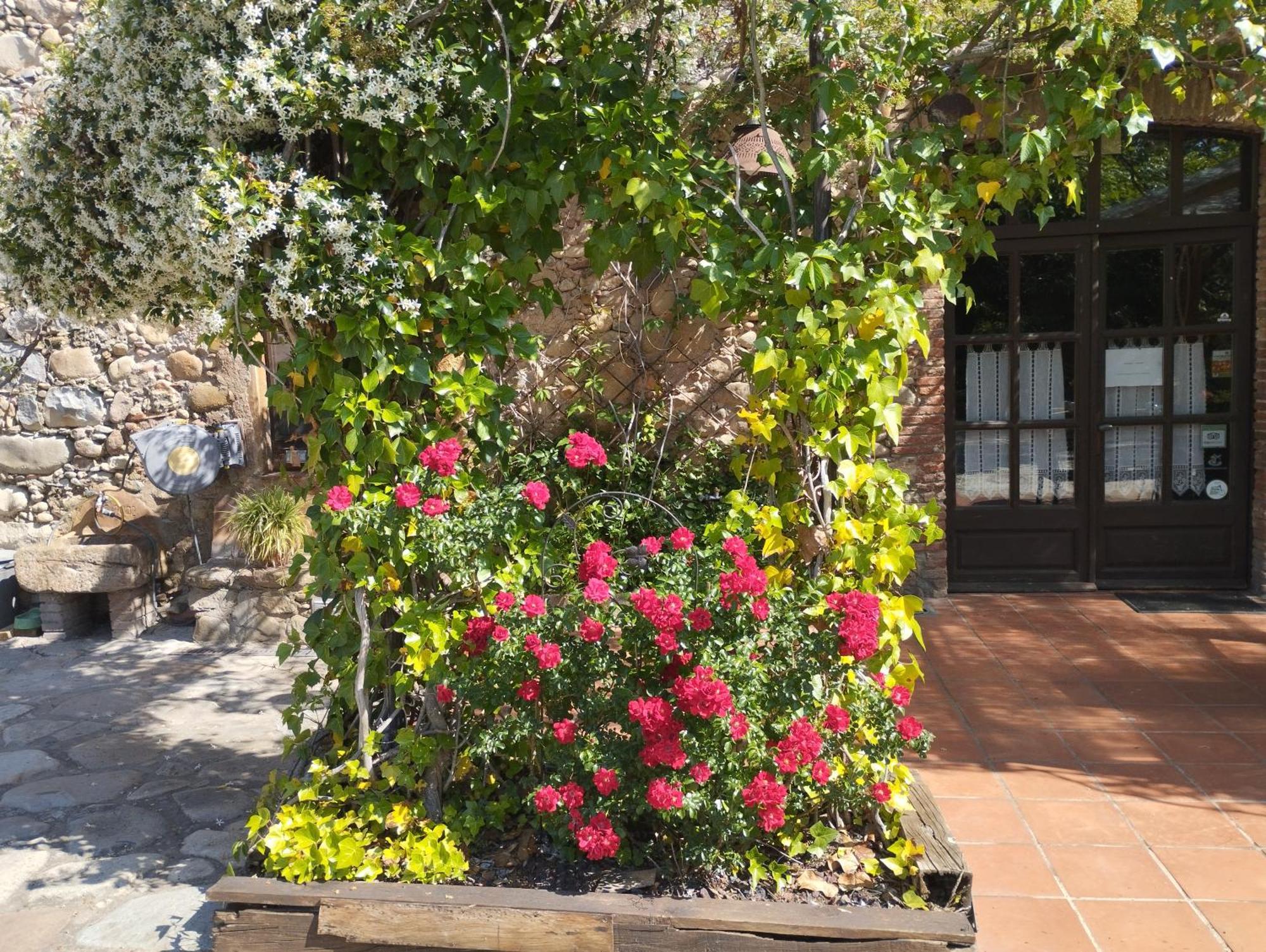 Casa Rural Can Jepet La Cellera de Ter Εξωτερικό φωτογραφία